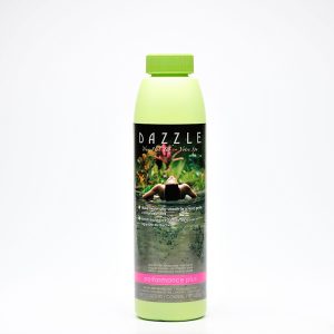 Performance Plus | Dazzle Water Care