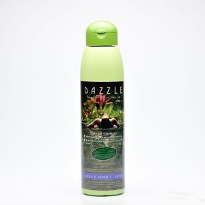 Stain & Scale 1: Initial | Dazzle Water Care