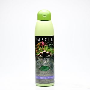 Stain & Scale 2: Maintain | Dazzle Water Care