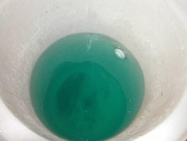 Rapid Action Filter Cleanse