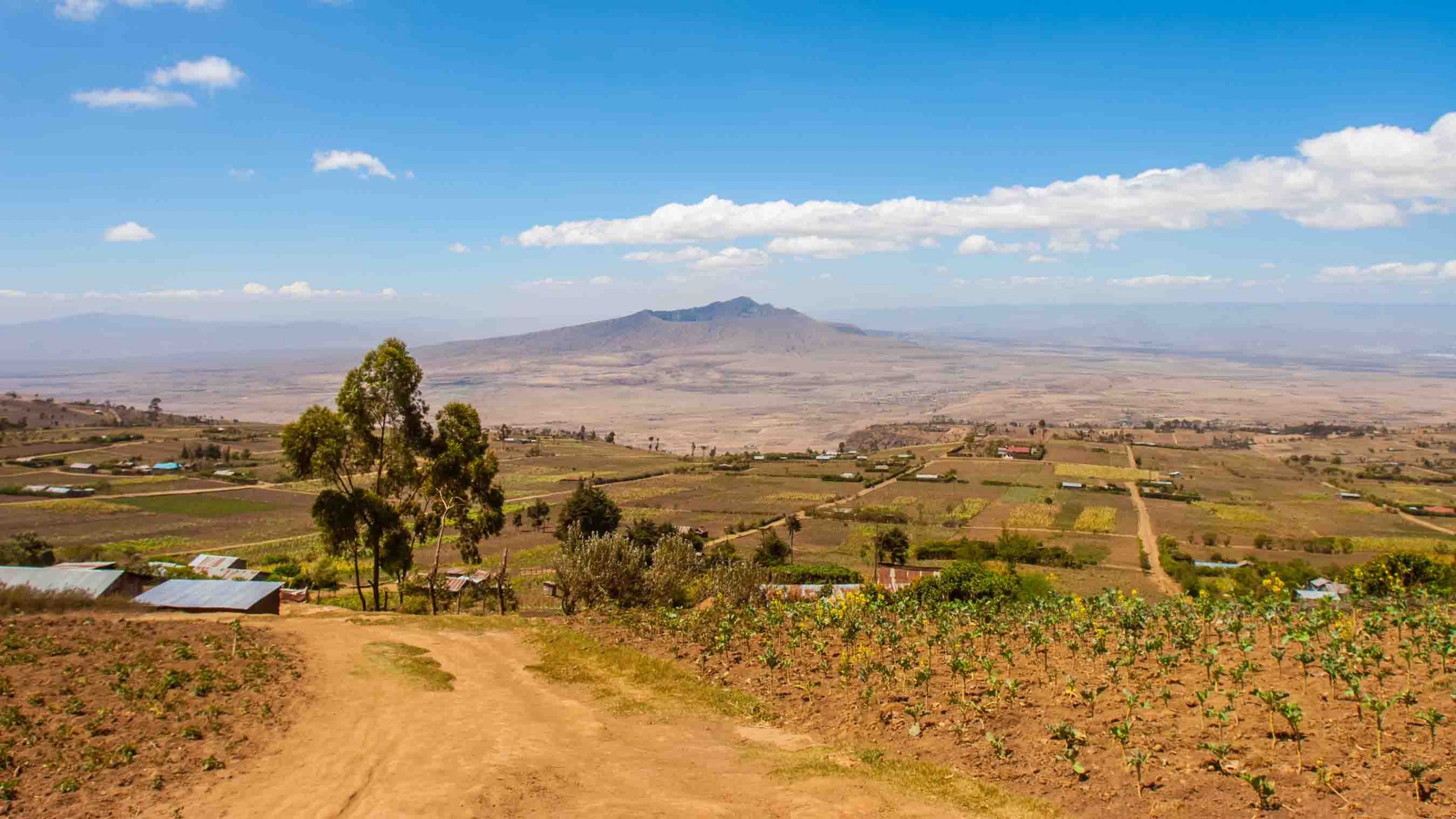 Rift Valley Wash Project